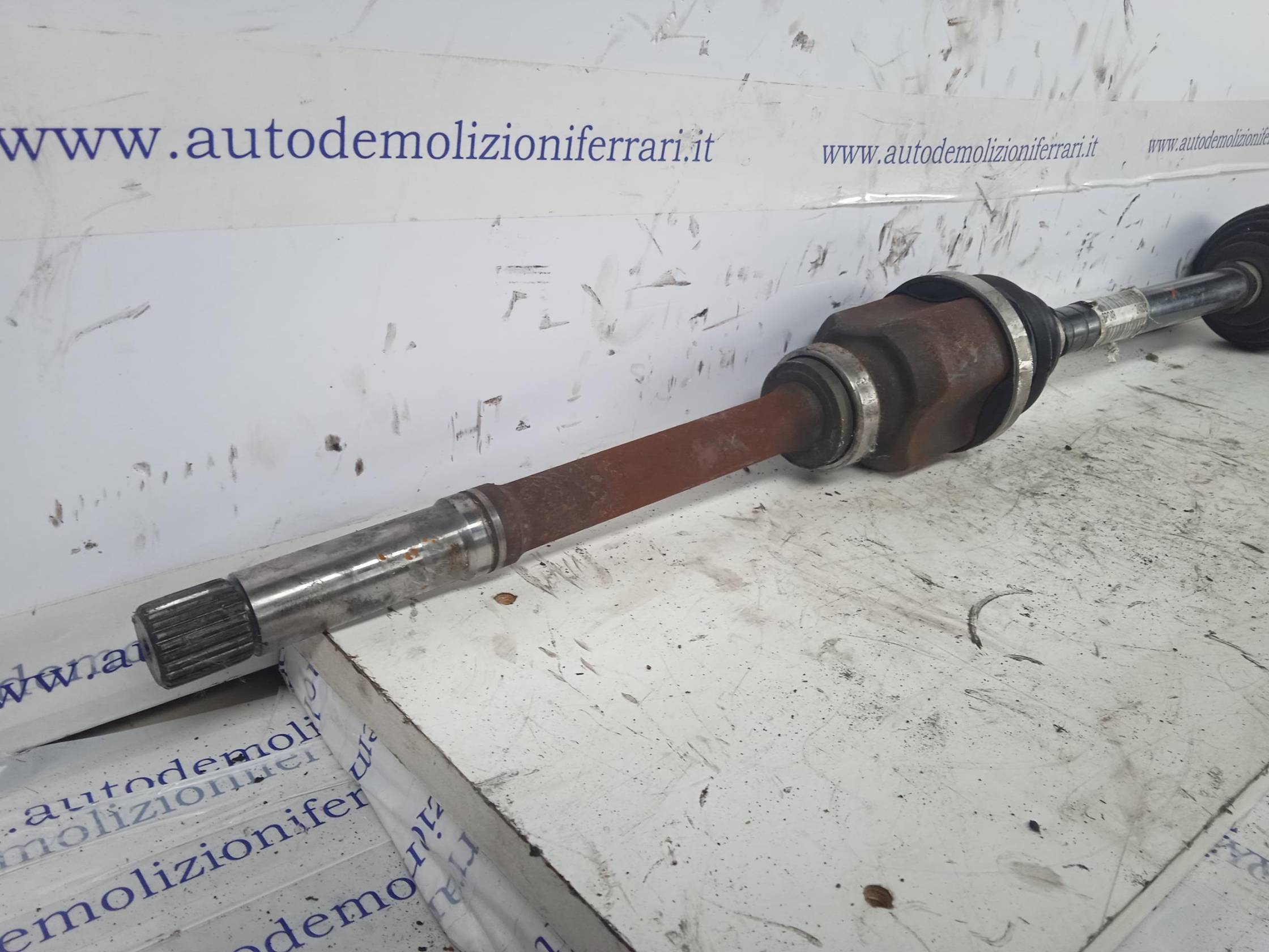 Semialbero ant. compl. dx.